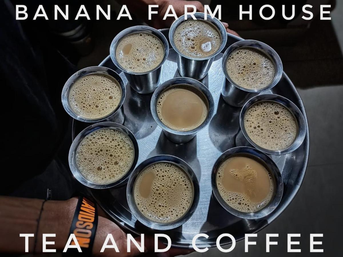 Banana Farm House Хампі Екстер'єр фото