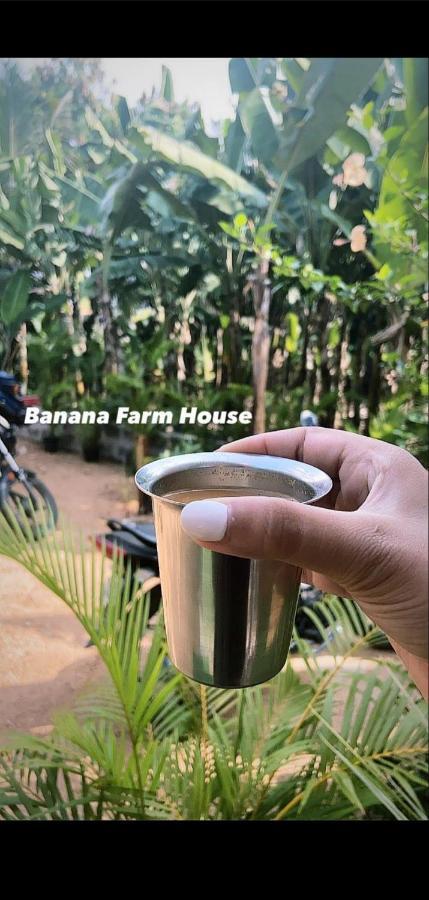 Banana Farm House Хампі Екстер'єр фото
