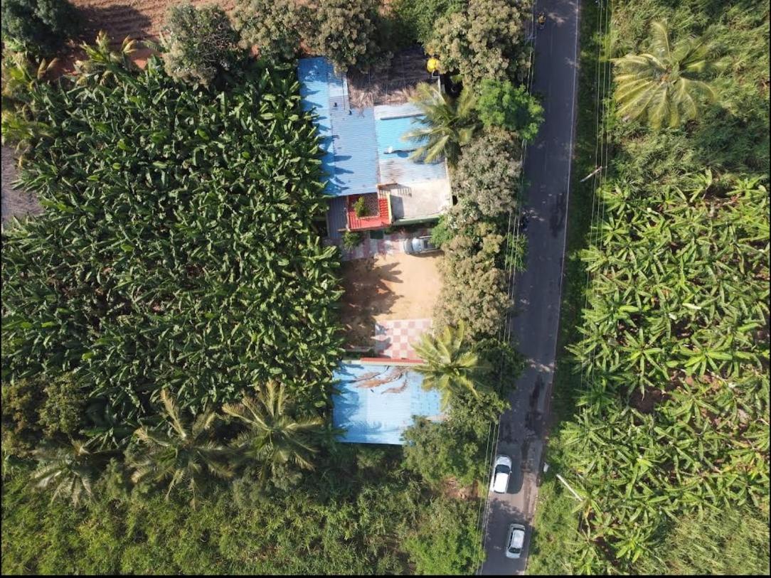 Banana Farm House Хампі Екстер'єр фото