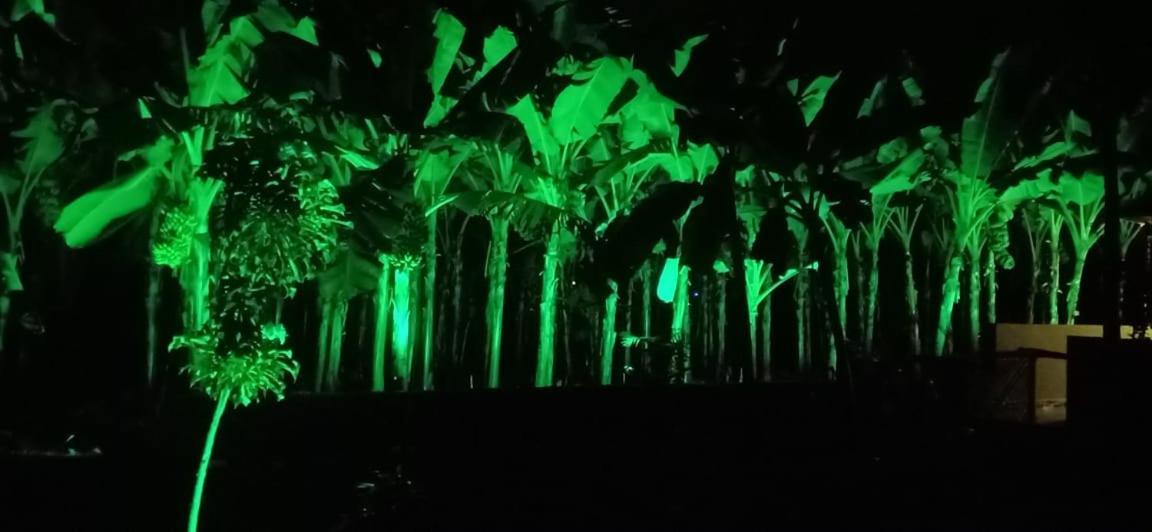 Banana Farm House Хампі Екстер'єр фото